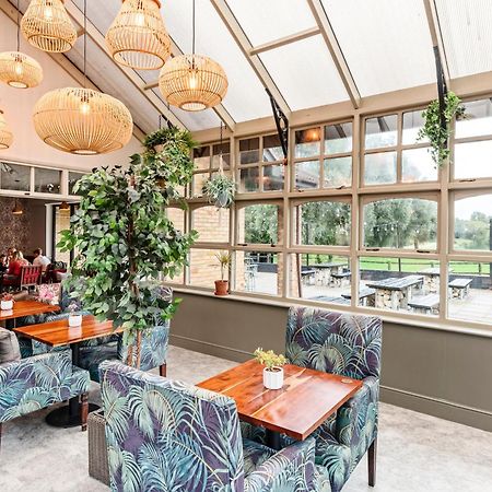 Dragonfly Hotel Петербург Экстерьер фото